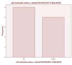 Příloha č.