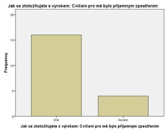Subjektivní hodnocení terapie - skupina všichni Změnu po terapii hodnotili nejvíce v oblasti rovnováhy a balance.