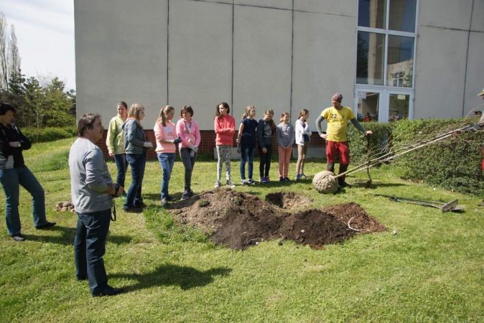 V letošním roce jsme nezůstali jen u obvyklého sbírání