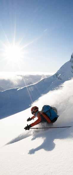 ALPINE VOSKY SWIX SKIN Na lyže pro horskou turistiku a back country. Aplikuje se na kůži. Snadno se aplikuje. Zamezuje zamrzání. Lepší skluz. Odpuzuje nečistoty.