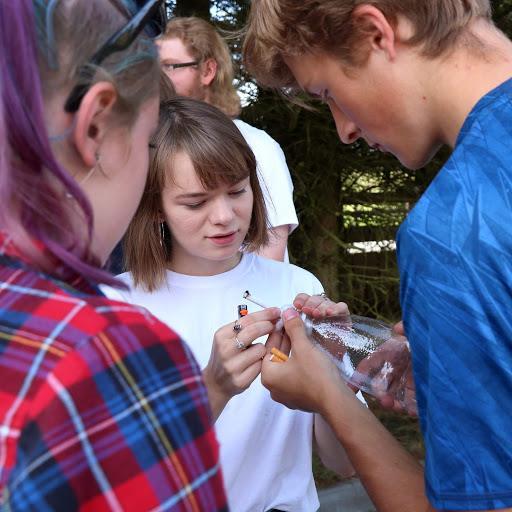 Projektová výuka : hodnotí výborně, klady hodně originálních projektů, kreativita, hezké nápady, zajímavá témata, rozmanitost