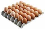 990 g Malva, 880 g KAND Dijonská 100 g 2,05 2,36 100 g 2,54 2,92 17,60 20,24 1,84 2,11 3,08