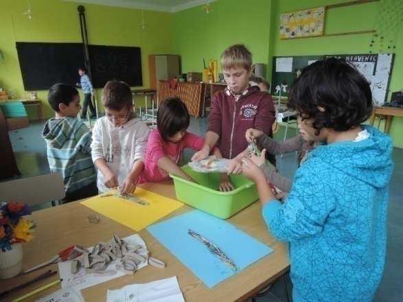 Projekty 5. Úspěchy 6.
