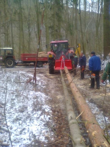 Pracant do lesa Kůrovcová kalamita v obecních lesích a nutnost těžby dřeva v