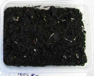 zhomogenizovány a přesáty přes síto 2 či 4 mm.
