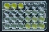 Biotesty jako nástroj hodnocení kvality tuhé matrice Retention function Biotests with eluates