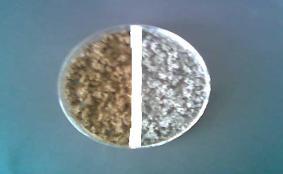 2 x 10 g