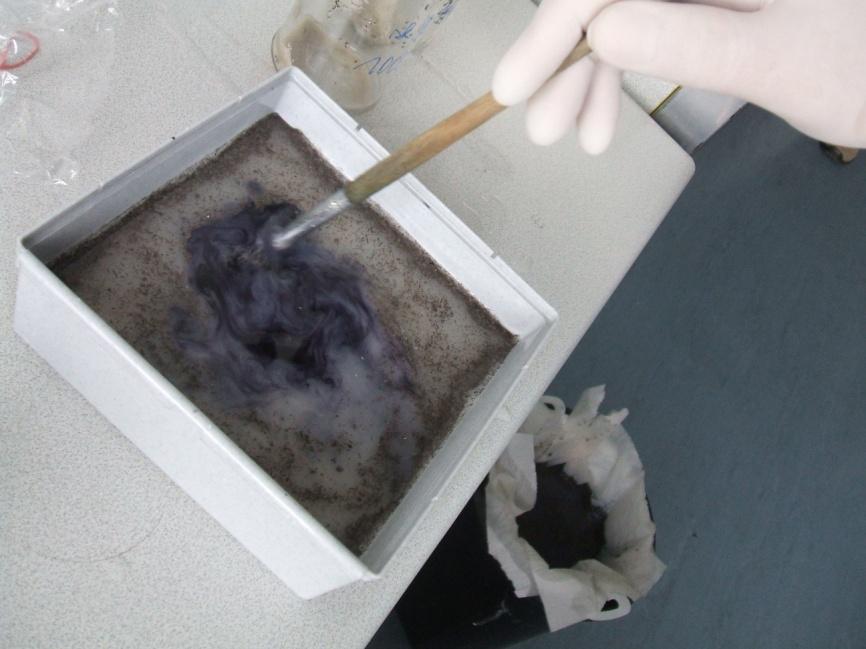 soil pollutants
