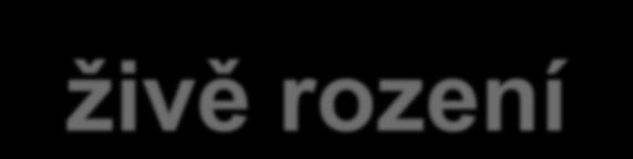 Projekce obyvatelstva a skutečnost živě rození 13 12 11 1 skutečnost max Velebil 218 9 8 7 28 29 21 211 212 213 214 215 216 217