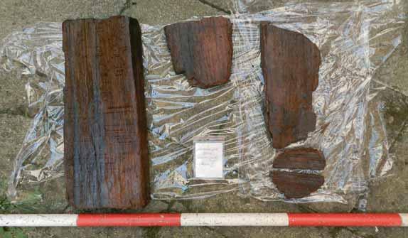 3.1 Archeologické oddělení III.