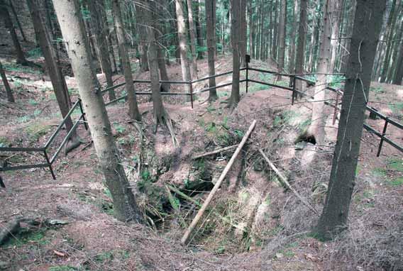 3. Projekt Areál těžby stříbra ze 13. století Havírna... V. Projekt byl v roce 2017 řešen teprve prvním rokem. Jedná se o společný projekt muzea (řešitelem je RNDr