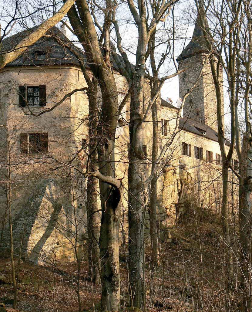 2. Hrad Roštejn I. Rok 2017 byl významný z hlediska zahájení prací na projektu Hrad Roštejn zpřístupnění nových expozic.