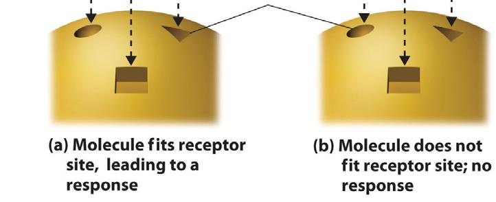 part of the Figure).