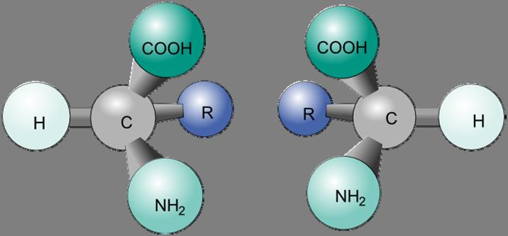 1. INTRODUCTION 1.1. Symmetry of Molecules and Optical Activity Objects that can be viewed as non-superimposable mirror images of each other are said to be chiral (Figure 01).