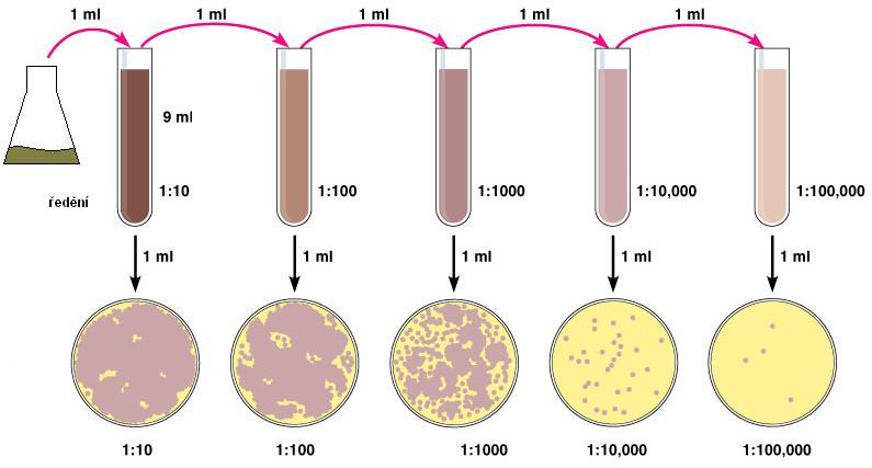 1.2. Homogenizace vzorku Důkladná homogenizace je jedním ze základních předpokladů získání správného výsledku při mikrobiologickém rozboru.