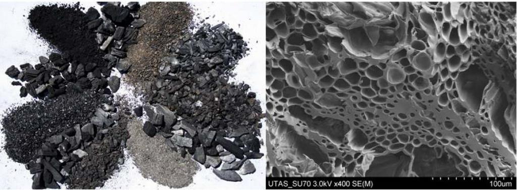 Není biochar jako biochar Pyrolýzní produkt čistírenského kalu obsahuje relativně vysoké obsahy nutrientů, jako např. fosforu, ale má relativně nízký obsah uhlíku.