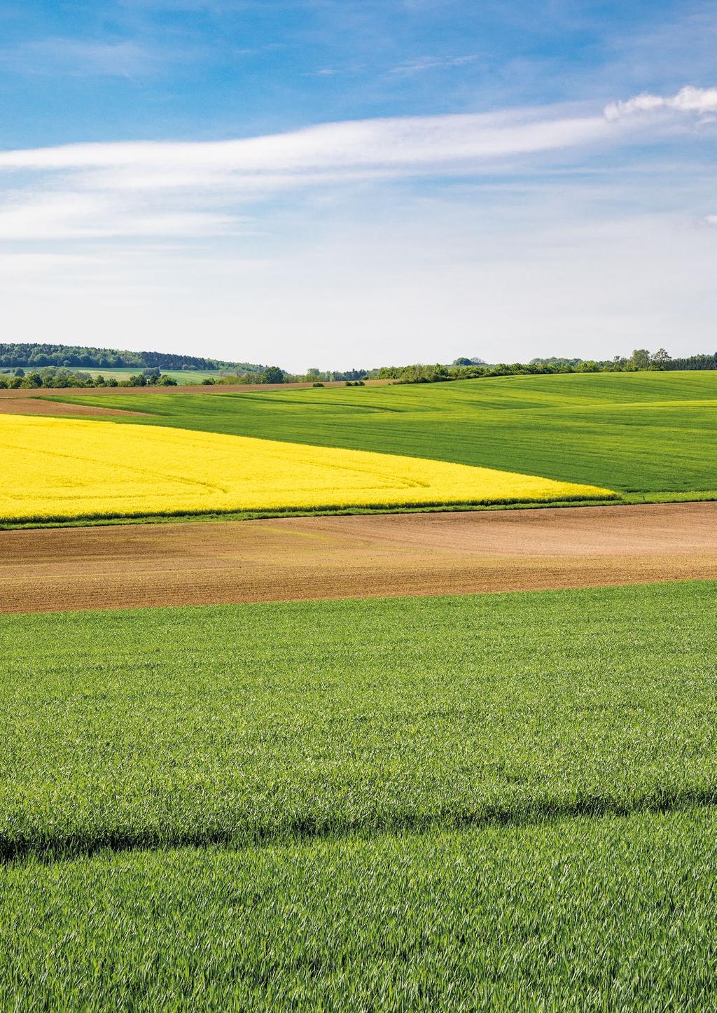 HNOJENÍ POLNÍCH PLODIN DRASLÍKEM A HOŘČÍKEM Obilniny,