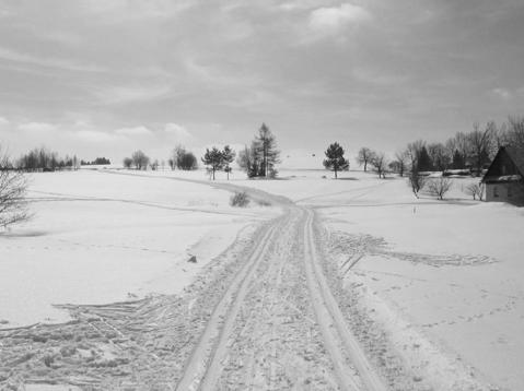 nestrannost (přednosti i nedostatky) 2.
