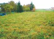 /fax:558 646 116 zemědělský Bruzovice 16 043 m² 45 Kč/m² trvalý trávní porost Morávka 7 455 m² elektřina 150 Kč/m² pro bydlení Žabeň 1 557 m² vodovod, kanalizace, elektřina 325 Kč/m² pro bydlení