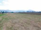 elektřina 550 000 Kč pro bydlení Bílovec / Stará Ves 1 000 m² vodovod, elektřina 650 000 Kč pro bydlení Kunín 1 000 m² vodovod, kanalizace, plyn, elektřina 699 000 Kč zemědělský / Žilina 27 908 m²