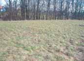 Odrou 3 500 m² vodovod, plyn, elektřina 650 Kč/m² pro bydlení Ostrava / Nová Bělá 1 092 m² vodovod, plyn, elektřina 750 Kč/m² pro bydlení Ostrava / Nová Bělá 2 112 m² vodovod, plyn, elektřina 850