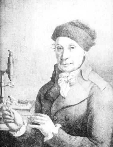 Objev a