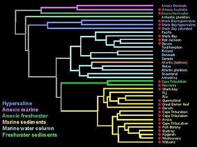 clustrová analýza) nebo ordinační diagram (vyjádřený obvykle ve formě scatter plotu, v případě metod ordinačních