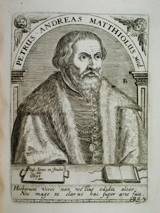 Mattioliho Comentarii