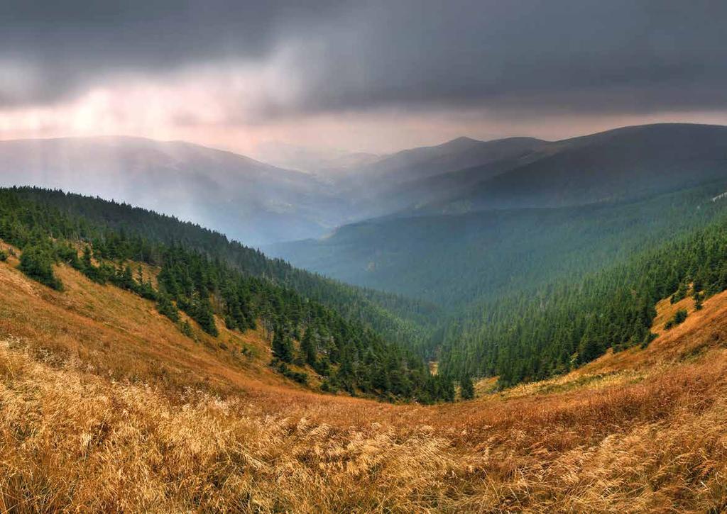 Východní Čechy Masiv Králického Sněžníku Geomorfologický celek a vysoká, členitá hornatina na rozhraní Čech, Moravy a Kladska ve které se nachází 15 hor tisícovek.