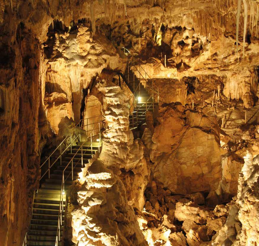 Střední Morava a Jeseníky 43 Javoříčské jeskyně Javoříčské jeskyně jsou unikátní svojí bohatou, zachovalou a rozmanitou krápníkovou výzdobou. Patří mezi nejkrásnější jeskyně v České republice.