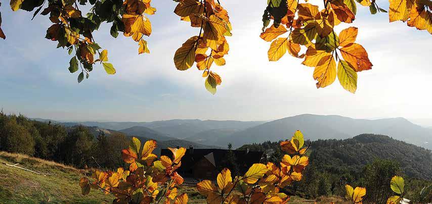 Województwo śląskie Beskydy (Beskyd Śląski, Beskyd Żywiecki, Beskyd Mały) Beskydy patří k nejatraktivnějším turistickým regionům.