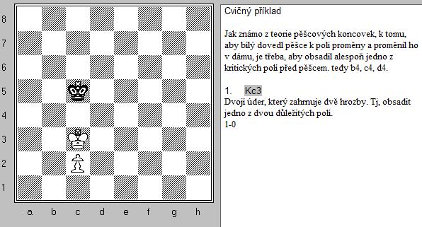 Takto se nám podařilo postavit most mezi teorií střední hry a koncovky. Souhrn Myslím, že se nám podařilo prokázat, že dvojí úder je nejefektivnější a současně universální nástroj útoku.