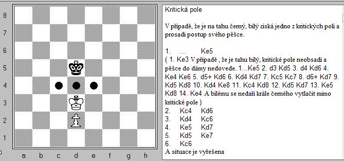 Boj v podobných pozicích koncovky se tedy točí okolo snahy o získání zajištění postupu pěšce a ohraničení možnosti pohybu soupeřova krále.