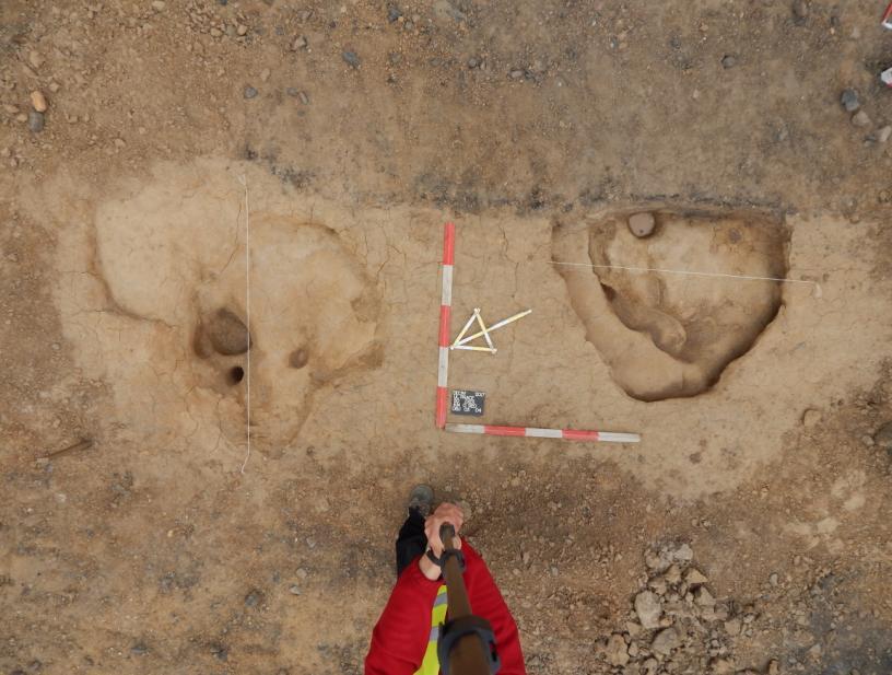 Záchranné archeologické výzkumy v roce 2017 V roce 2017 prováděla sp