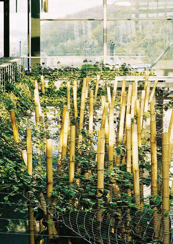 3/2008 česká komora architektů AP atelier Josef Pleskot, David Ambros, Pavel Fanta, Markéta
