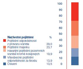 Struktura pojistného trhu v ČR neţivotní pojištění Zdroj: Česká asociace pojišťoven: Výroční zpráva 2009, str.