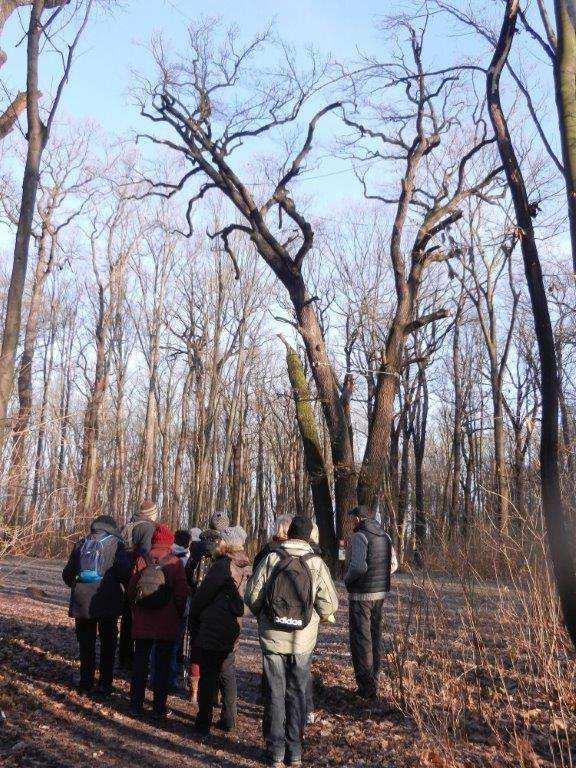 Tak se i v roce 1714 stalo. Jako poděkování nechala kapli zasvětit svaté Anně, patronce šťastných porodů. To byla první kapitola tohoto památného místa. Není ale poslední. Ve druhé polovině 18.