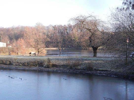 Pomalu a bez zranění opouštíme zajímavou divočinu a měníme ji za opravdický park ve