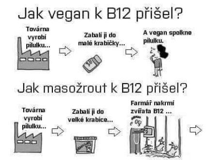 doplňkem B12 nevytváří ani rostliny ani zvířata, ale bakterie.