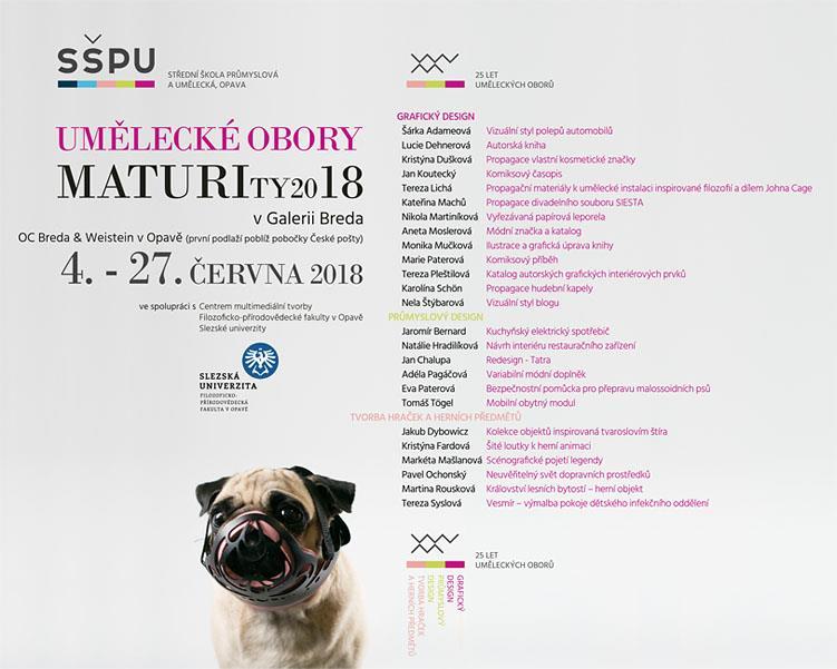 Umělecké obory: Maturity