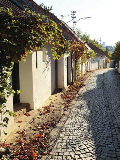 Navštivte nás v Poysdorfu! www.vinoversum.