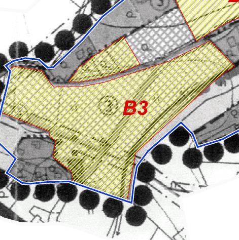 B3