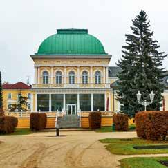 Cestování po ČR 15 Jedno z nejkrásnějších míst Městem se staly Františkovy Lázně až v roce 1865, kdy sem mohli také přijet první lázeňští hosté po kolejích.