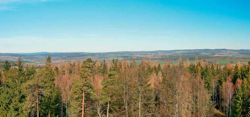 16 Cestování po ČR ROZHLÉDNI SE PO KRAJI Bismarckova monumentální rozhledna Železný kancléř.