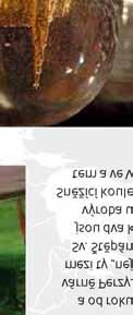 dosahuje 64,75 metru.
