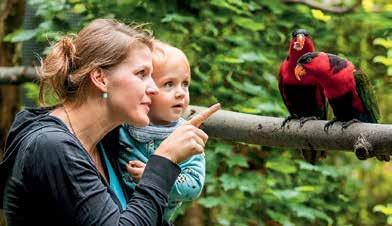 V jarních měsících tu upoutá pozornost nespočet kvetoucích rostlin, porosty rododendronů a azalek. Zoo Ostrava je otevřena každý den od 9 hodin.