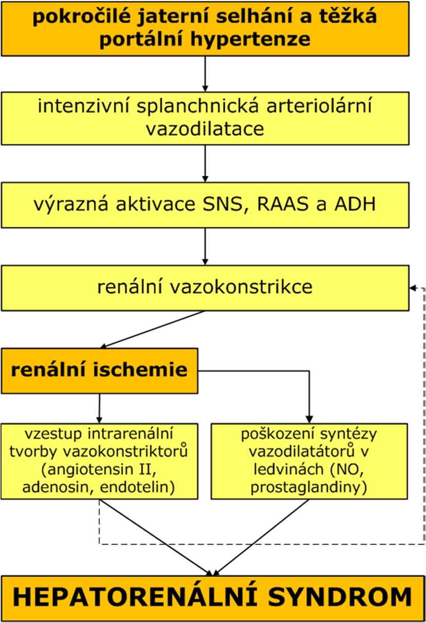 hyperaldosteronismu ale únik do třetího prostoru (ascites) v důsledku