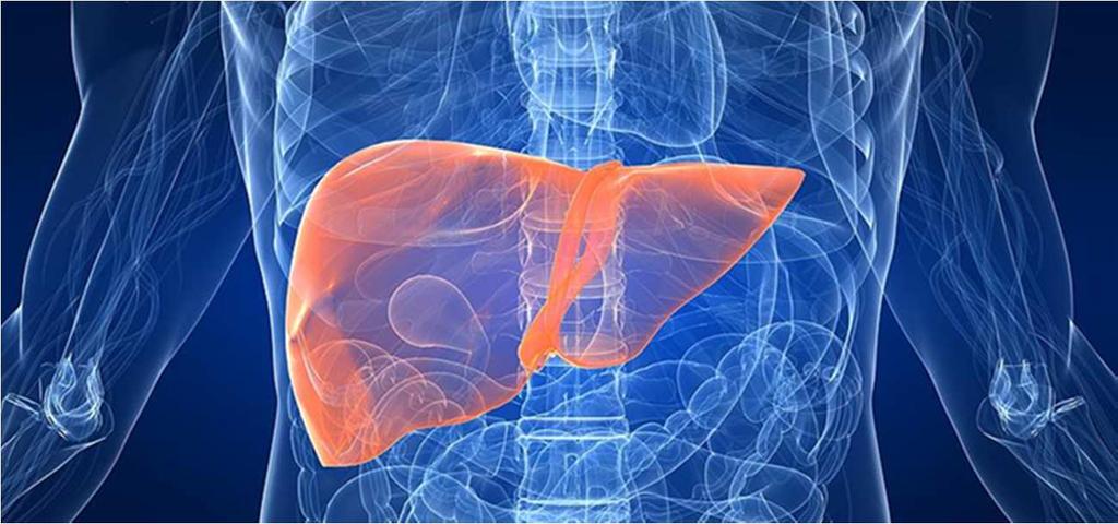 vasokonstrikce kontrakce aferentních arteriol 46 Možnosti fatálního
