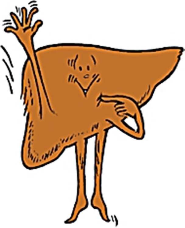 Středozemního moře virové hepatitidy schistozomiáza (= bilharzióza) Afrika, J.