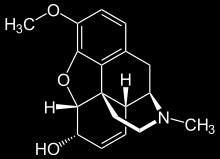 Farmaceutické minimum API neboli léčivá látka Výpis z databáze AISLP pro kodein pevné API Pevná léková